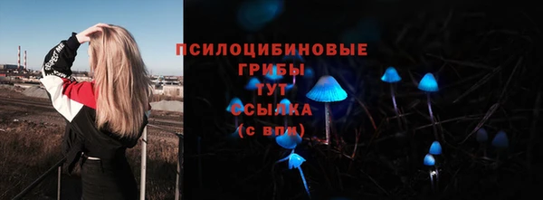 сатива Нязепетровск