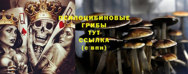 соль ск Нягань