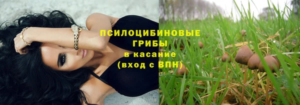 ALPHA-PVP Няндома